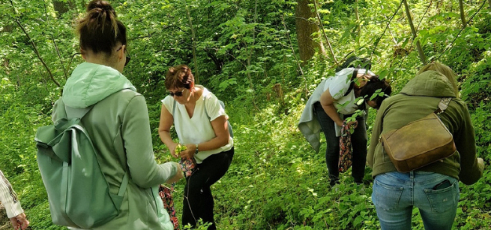 Sommerkräuter – Licht, Duft & Heilwissen der warmen Monate - in Klosterbuch