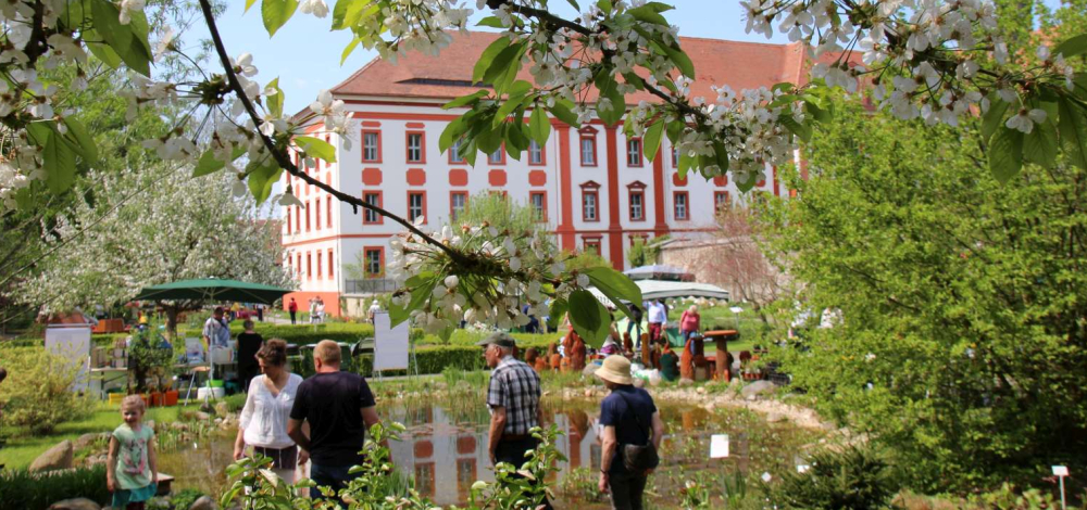 Saisoneröffnung im Klostergarten Kloster St. Marienstern in Panschwitz-Kuckau am Sonntag, dem 27. April 2025