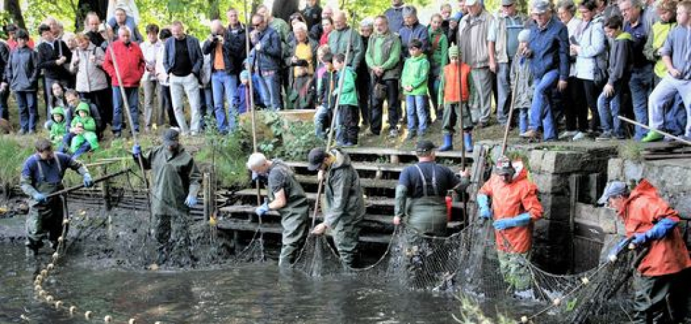 Natur- und Fischerfest Erlichthof