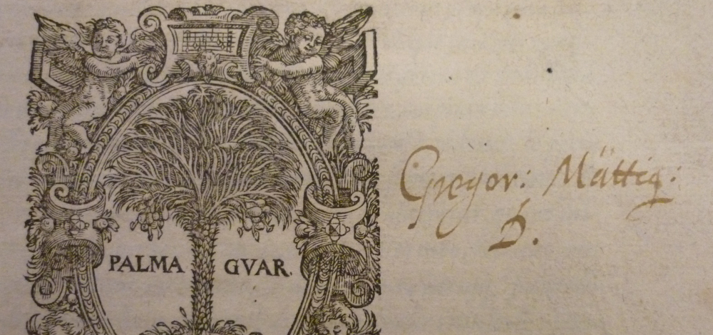 "Hab...ein Anfänger sein wollen." - Gregorius Mättigs Bibliotheksstiftung