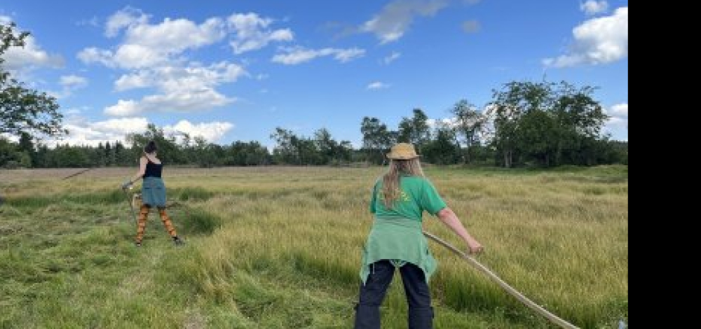 Naturdetektive Sommercamp