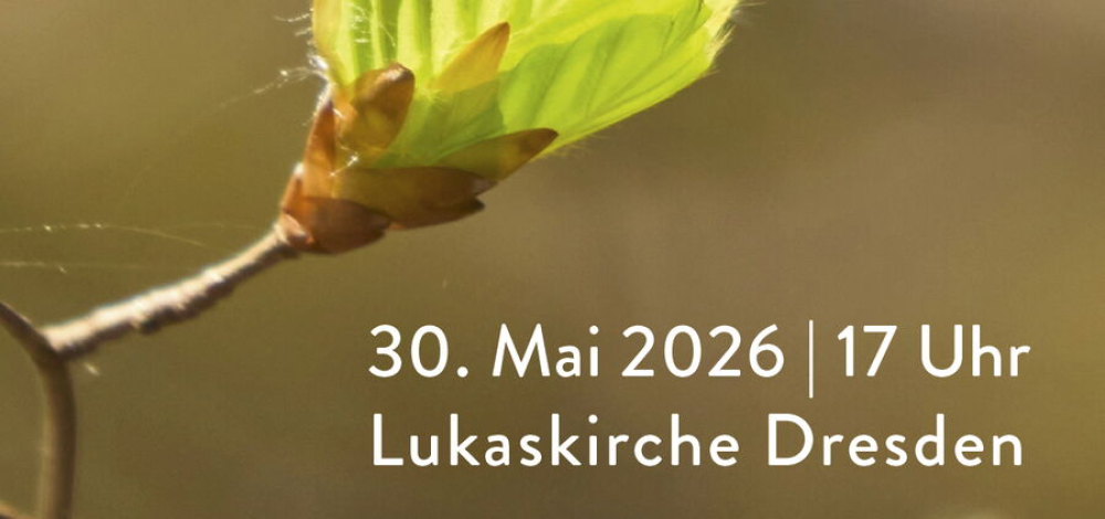 Frühjahrskonzert des Haydn-Orchesters Dresden