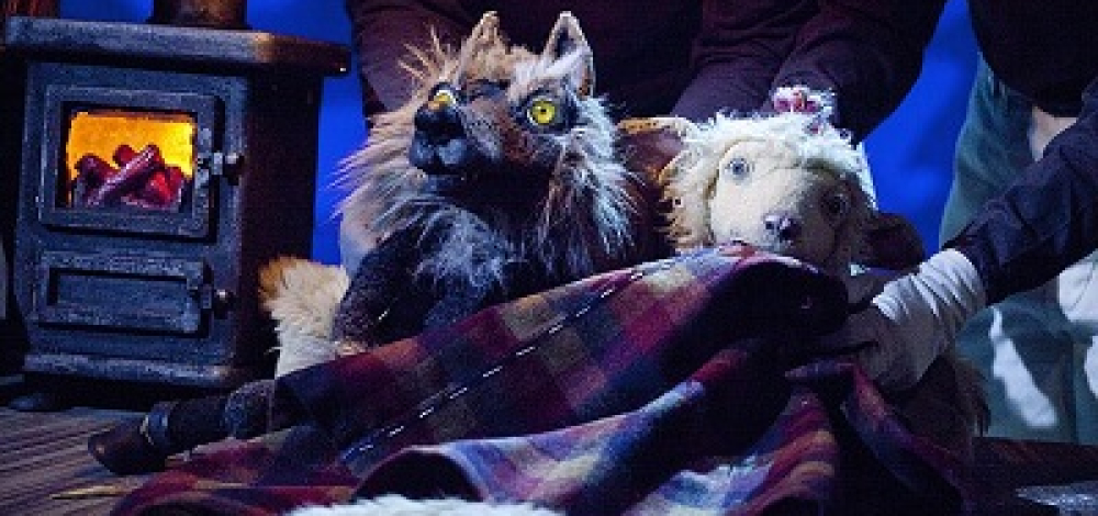 Ein Schaf fürs Leben