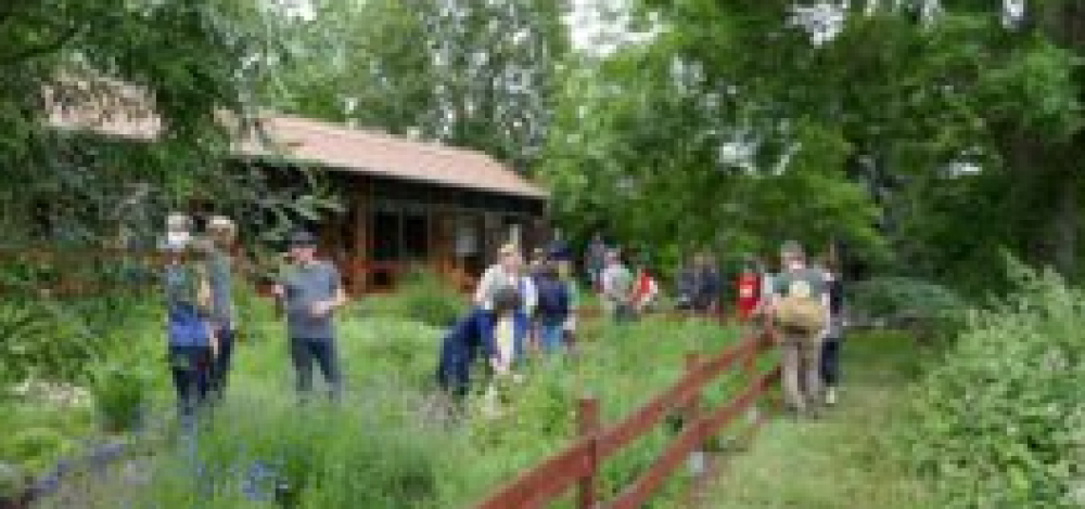 KRÄUTERGARTEN-FEST im Zschonergrundbad