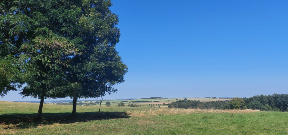 Praxistag der Jungen Naturwächter: Obstwiese & Ernte