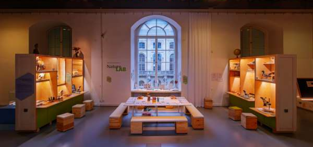 LANGE NACHT DER GALERIEN UND MUSEEN im dresdner barockviertel: "Out of the Box" · SENCKENBERG Naturmuseum Dresden