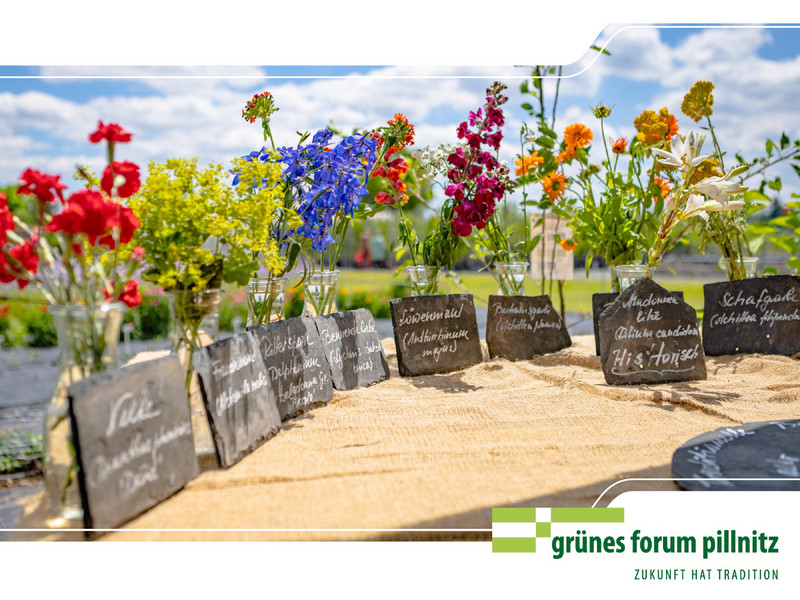 Pillnitzer Gartentag 2026 – Auf den gartenbaulichen Versuchsflächen unweit des Schlossparks