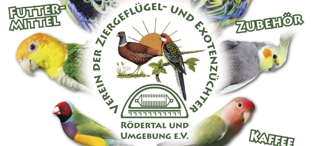 Große Vogelschau