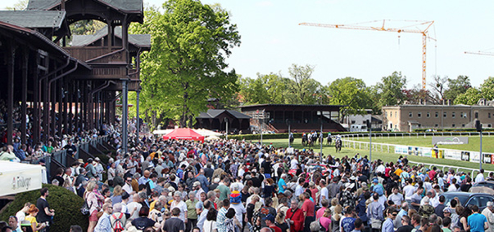 Riesentrödelmarkt auf der Galopprennbahn Dresden-Seidnitz