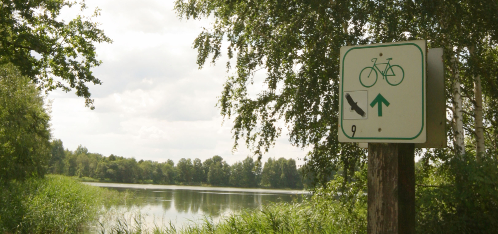 Radtour im Reich des Seeadlers