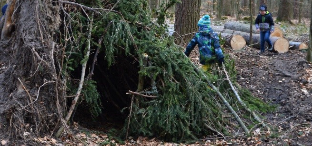 Praxistag der Jungen Naturwächter: Die Natur kommt zur Ruhe