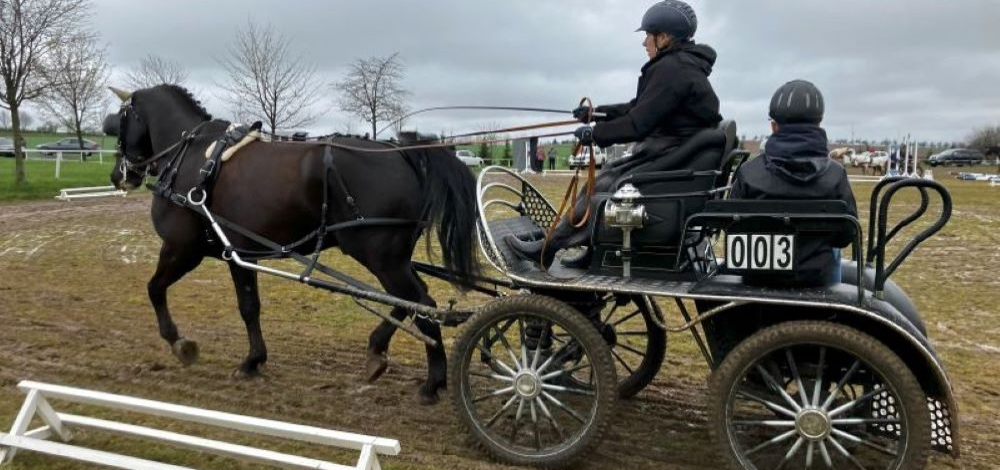 Breitensportlicher Fahrertag und Reitturnier