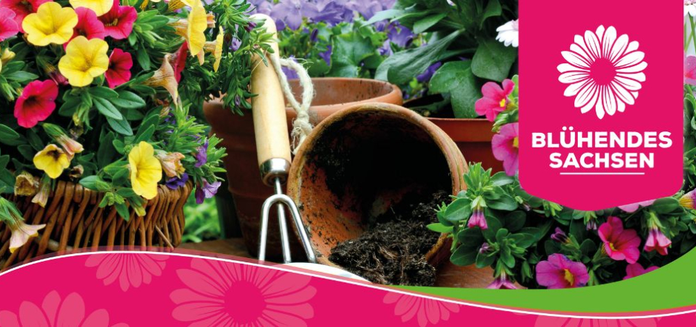 Blühendes Sachsen: Tage der offenen Gärtnerei 25./26. April