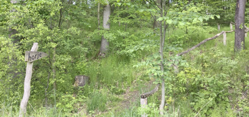 Archäologische Exkursion: Die Kopschiner Schanze