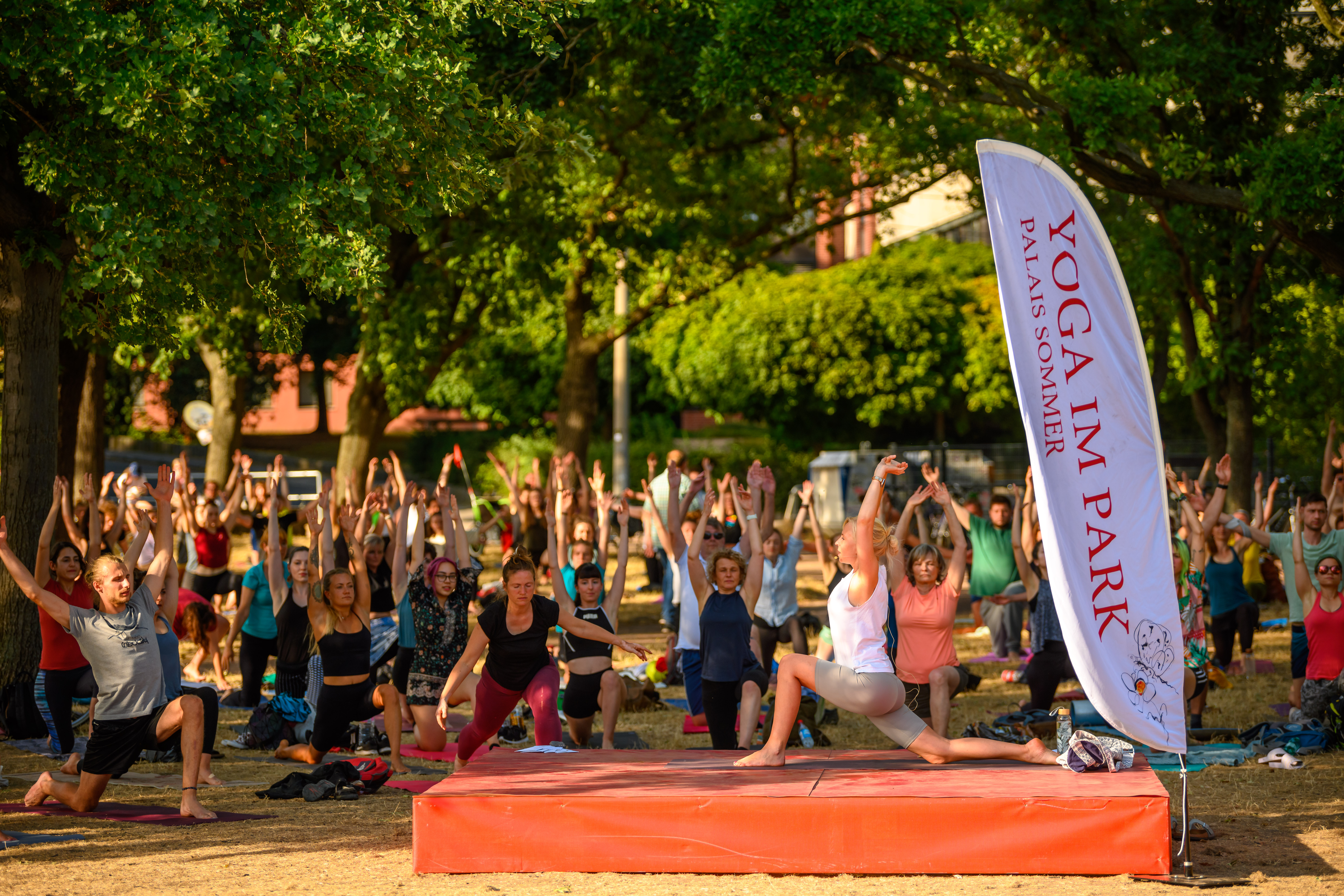 Yoga | Ann Raab