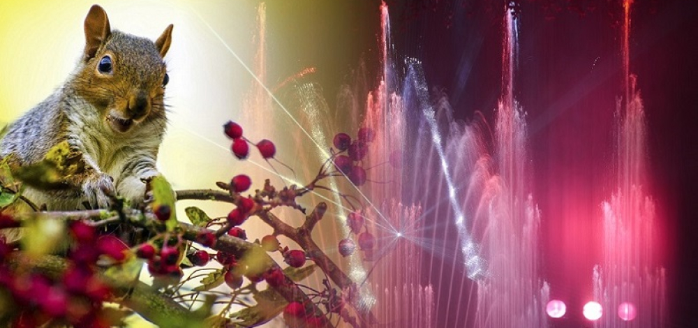 Herbst-Dinner *Die Erde im Fieber! Wasser im Wandel der Jahreszeiten*