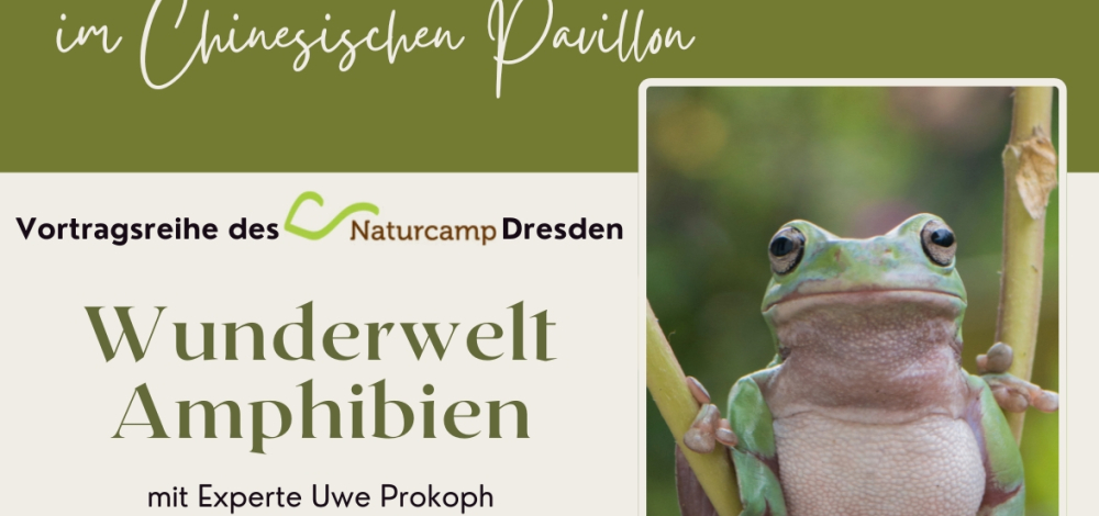 Wunderwelt Amphibien mit Amphibien-Experte Uwe Prokoph