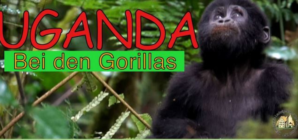 Reisevortrag "Zu Besuch bei den Berggorillas in Uganda"