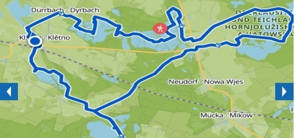 Teichgebietstour - Fahrradtour mit dem Ornithologen Jörg Kasper