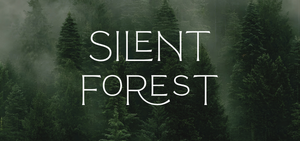 Silent Forest ‒ meditative Klaviermusik