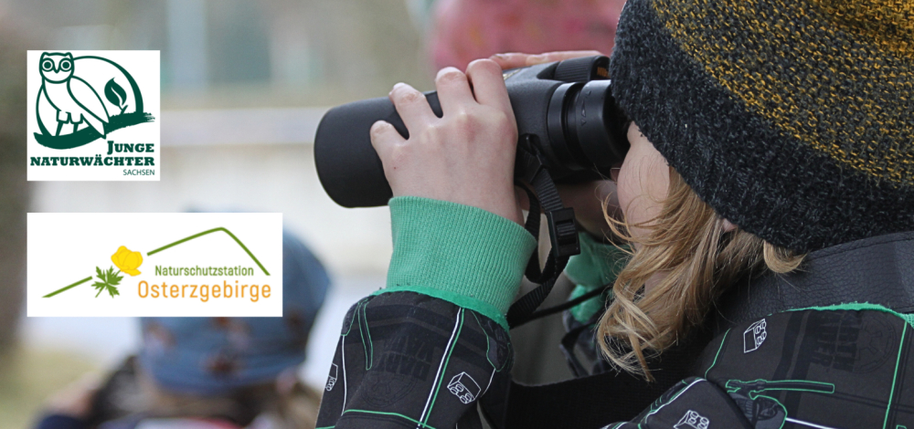 Praxistag der Jungen Naturwächter: Zwitscher-Zeit