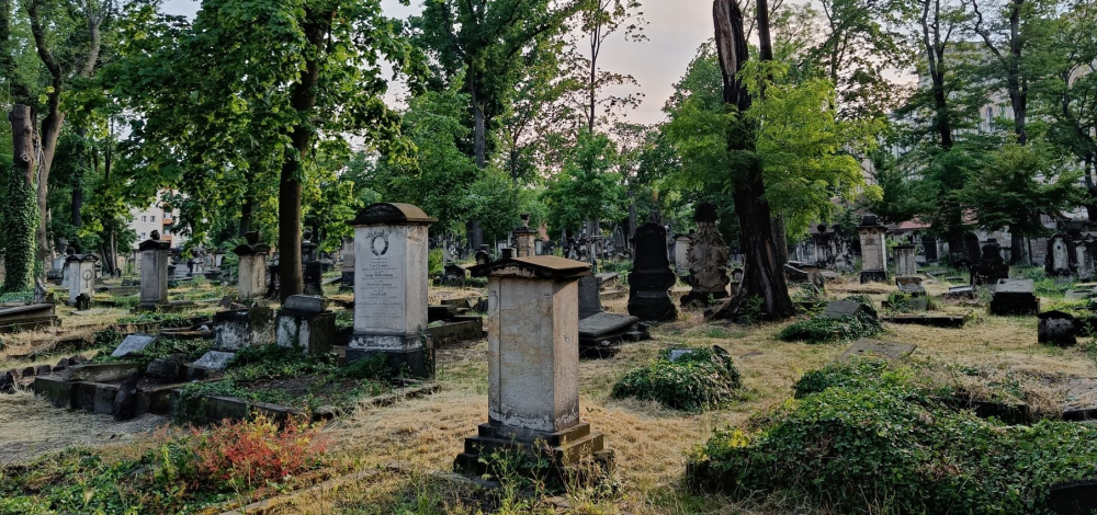 Spuren der Zeit. Geführter Rundgang über den Eliasfriedhof