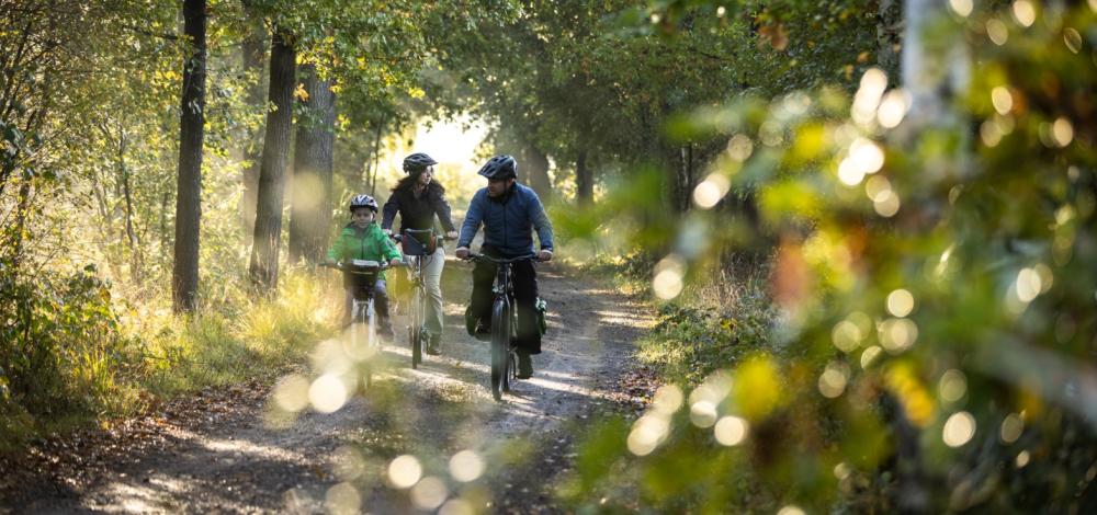 Fahrradtour in der Heide- und Teichlandschaft