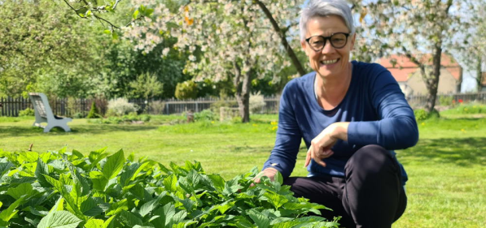 Kochwerkstatt- Essbare Wildkräuter im Alltag nutzen - in Altenhof