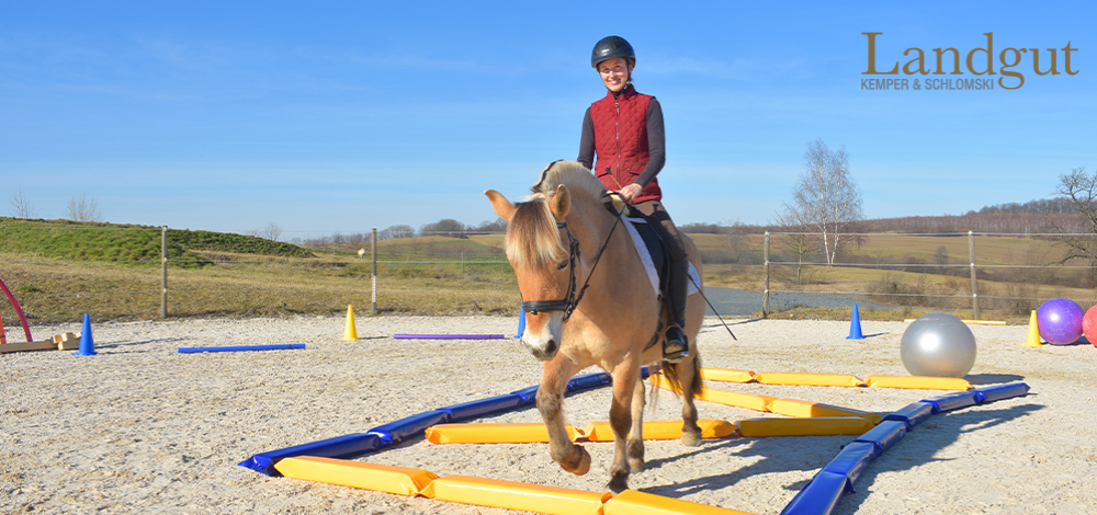 Reitunterricht in der Nähe von Dresden