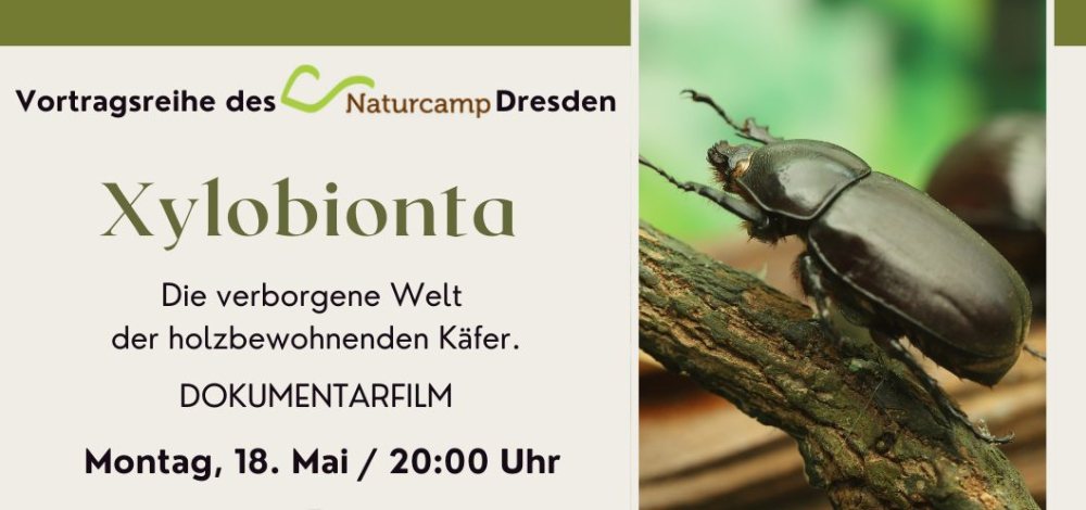 Dokumentarfilm - Die verborgene Welt der holzbewohnenden Käfer.