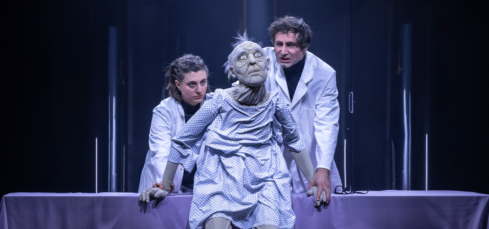 Oper von Elena Langer, The Lion's Face