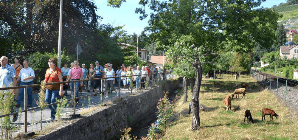 Exklusive Weinführung