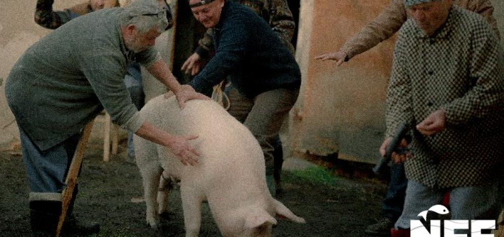 22. Neiße Filmfestival: Mord