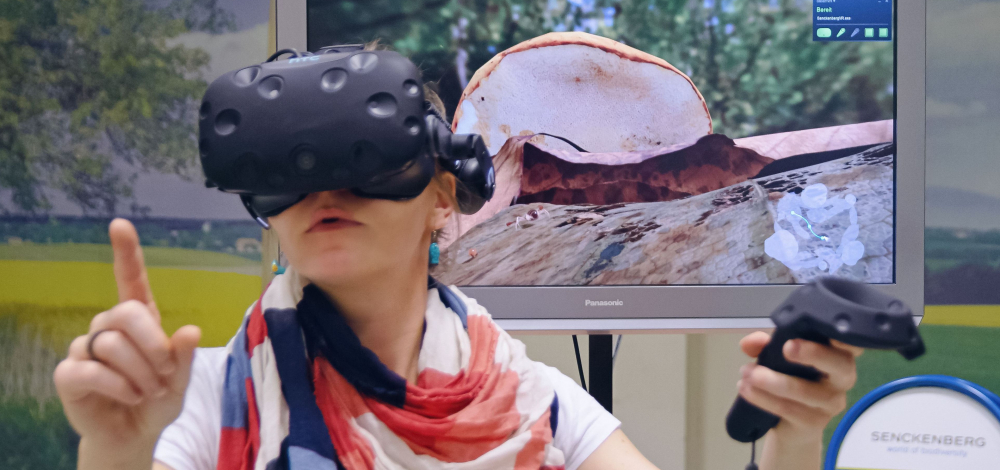 Virtual Reality-Erlebnis "Abenteuer Bodenleben"