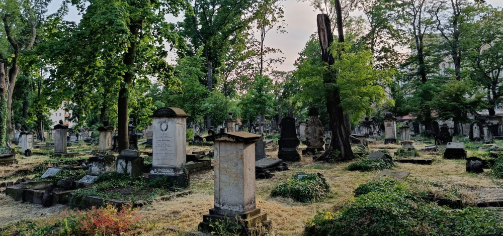Themenführung über den Eliasfriedhof: Frauen und Kinder auf dem Eliasfriedhof – Übergangen, vergessen, neu gewürdigt