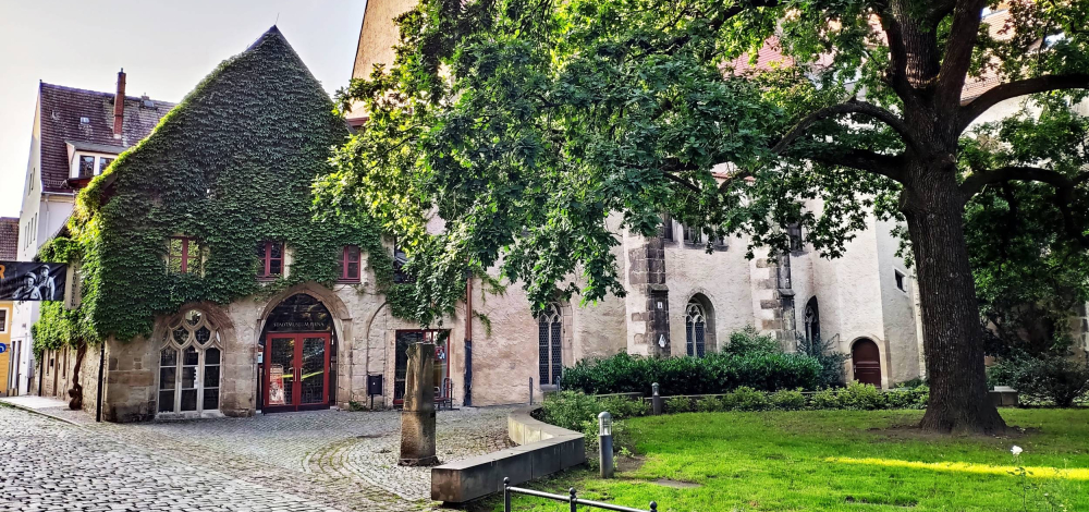 146. Galeriekonzert mit der Musikschule Sächsische Schweiz e.V.