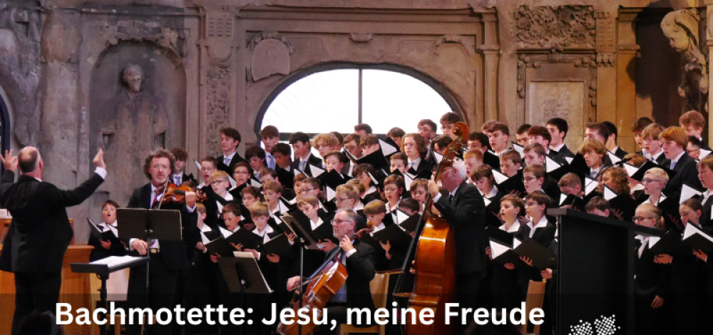 Dresdner Kreuzchor singt Bachmotette „Jesu, meine Freude“