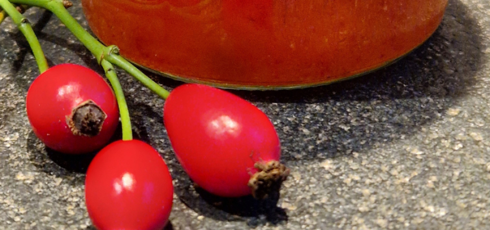 Herbstliche Vitaminbomben – Wildfrüchte für das Immunsystem - in Klosterbuch