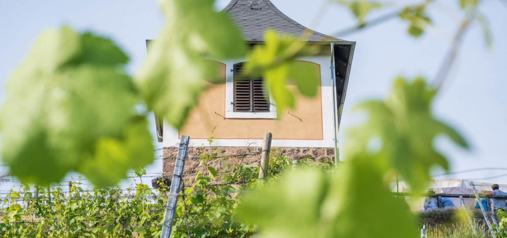 KLASSIK IM WEINBERG