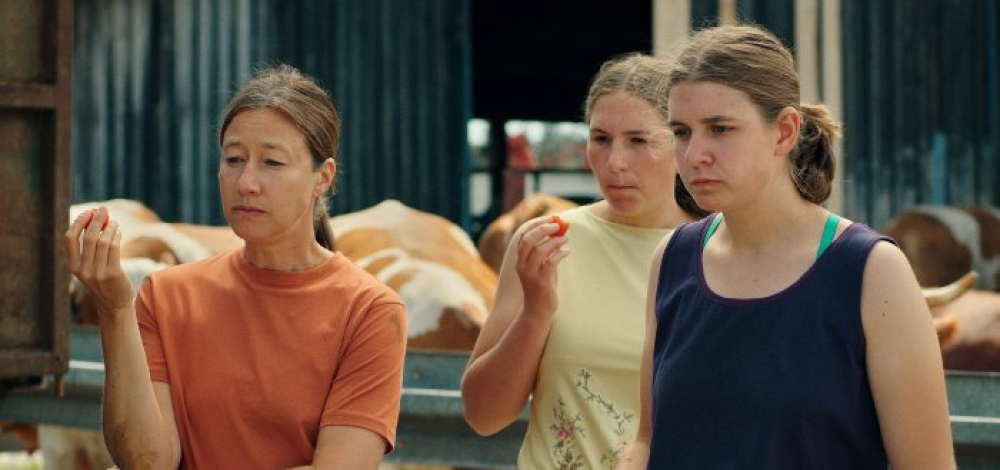 22. Neiße Filmfestival: Milch ins Feuer