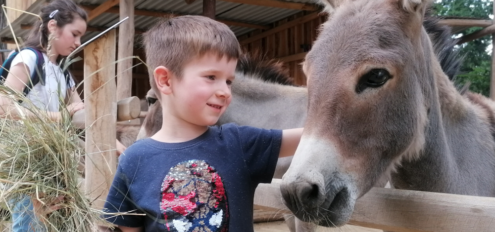 Eröffnung der neuen Eselwelt im Görlitzer Tierpark mit Malwettbewerb