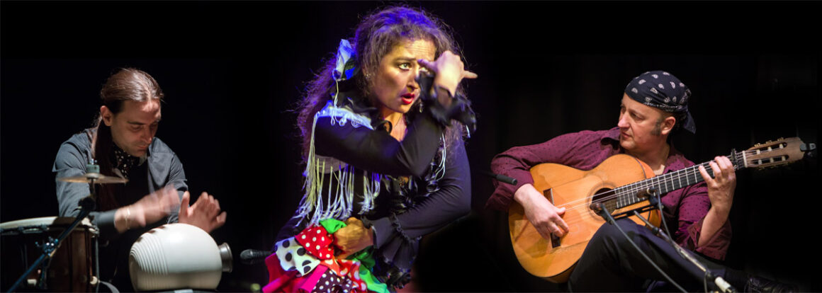 Premiere: Palais.Horizonte | Spanische Nacht | Marcos Coll (SP) | Compañia Flamenca Sabine Jordan | DJ Bongo + Livepainting