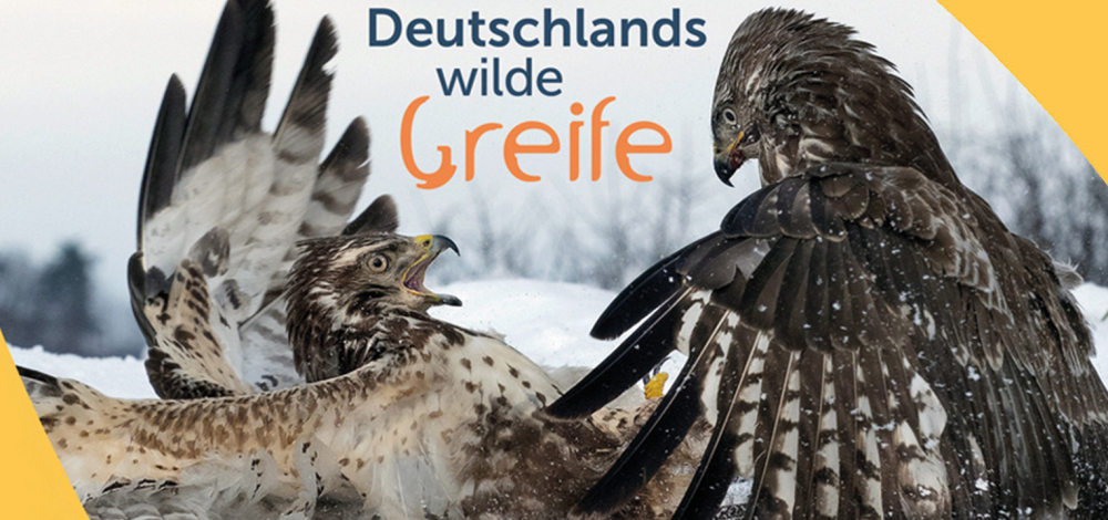 Öffentliche Führung durch die Sonderausstellung „Deutschlands wilde Greife"