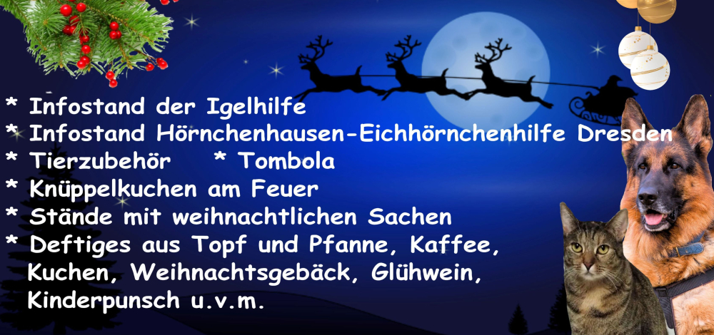 Tierheim-Weihnacht in Gröbern