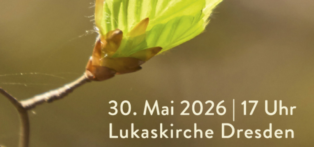 Frühjahrskonzert des Haydn-Orchesters Dresden