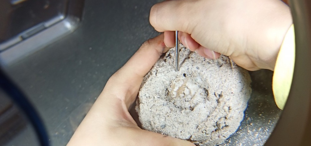 Ferienworkshop für Kinder von 7 - 12 Jahren: Steine und Fossilien