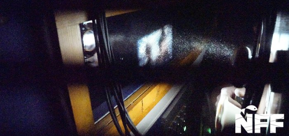 21. Neiße Filmfestival: Friday the 13th Part III / Und wieder ist Freitag der 13.