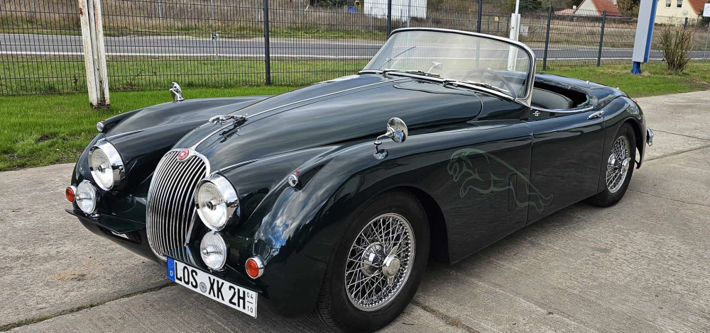 Rallye Elbflorenz rollt durch den Findlingspark