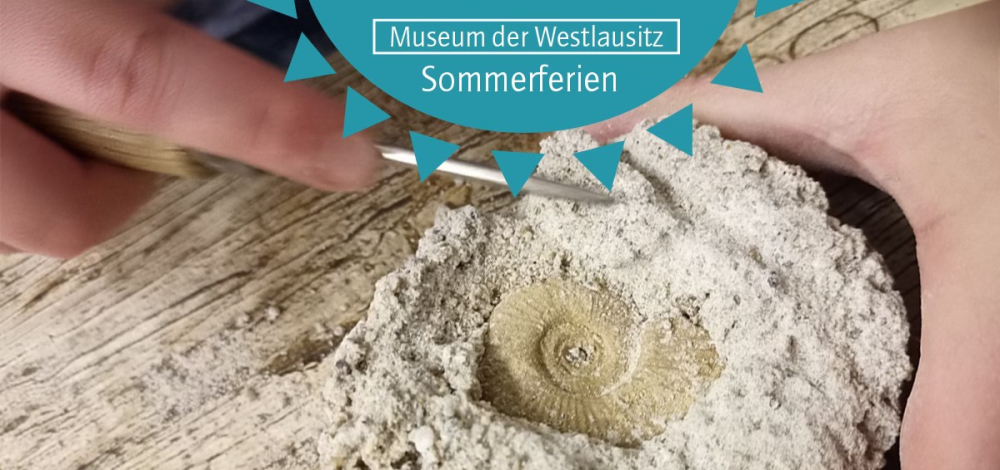 Sommerferien im Museum: Fossilienforscher