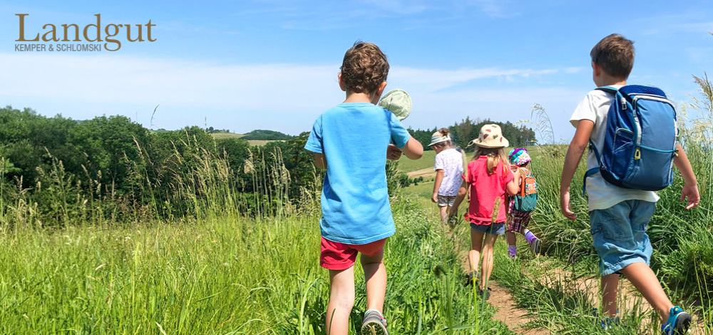 Hof-Tour – Sommerferien-Special: Von Fjordpferden, Hoftieren und Wildbiene Wonka
